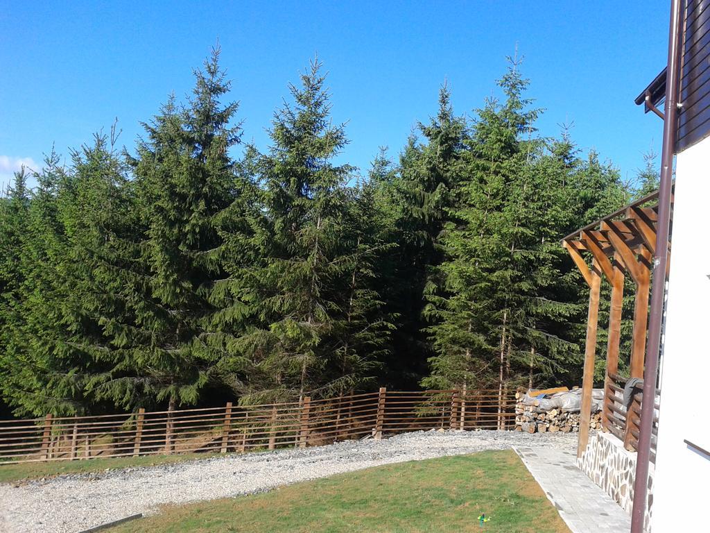 Guest house Pensiunea Ily Colibita