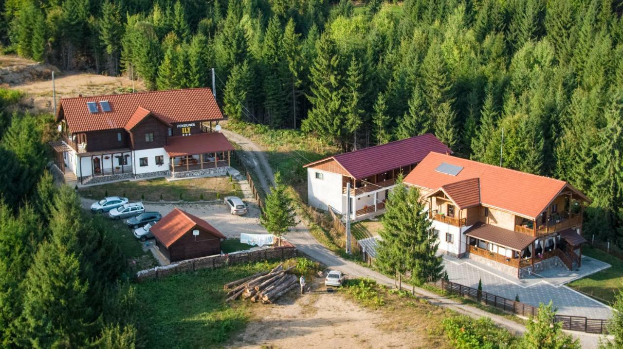 Affittacamere Pensiunea Ily Colibiţa