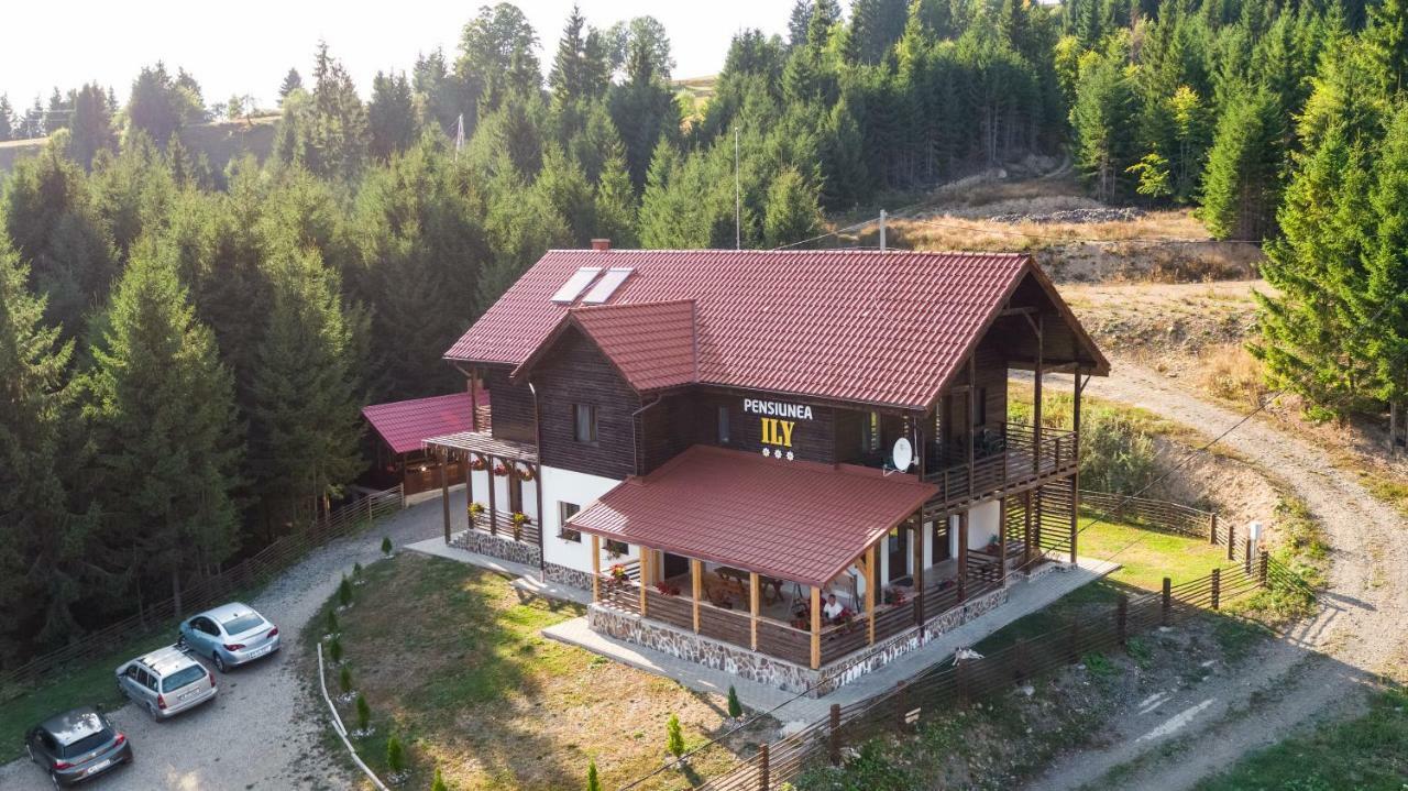 Pensiunea Ily Affittacamere Colibiţa